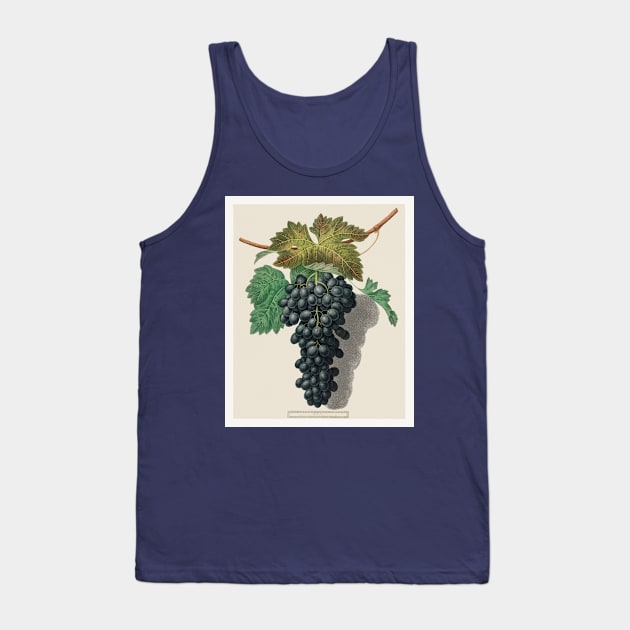 Wine Lover Tank Top by zmudart